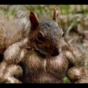 Meet your Posher, Ray